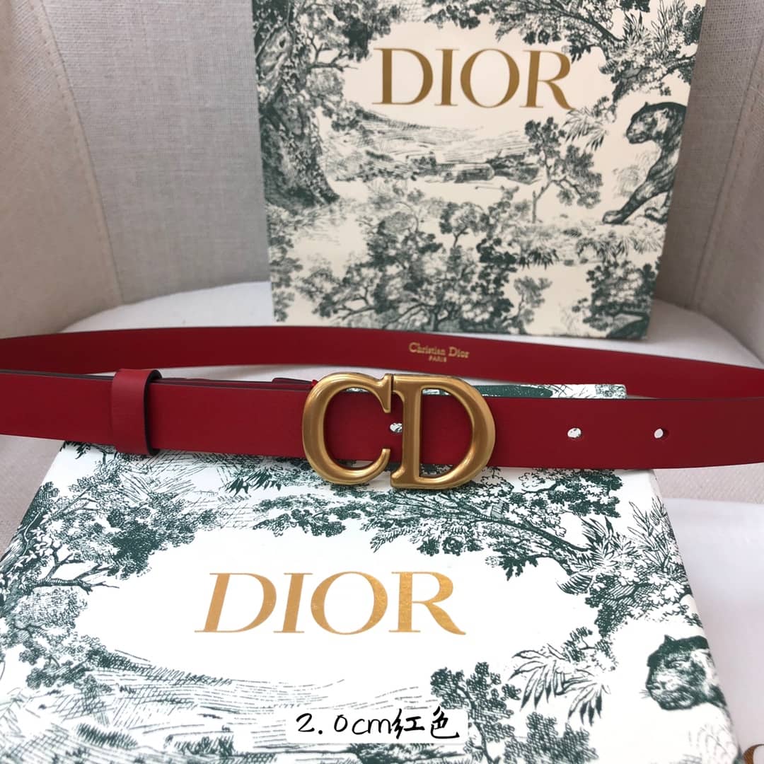 Knockoff D10r Logo Belt 20mm For Lady