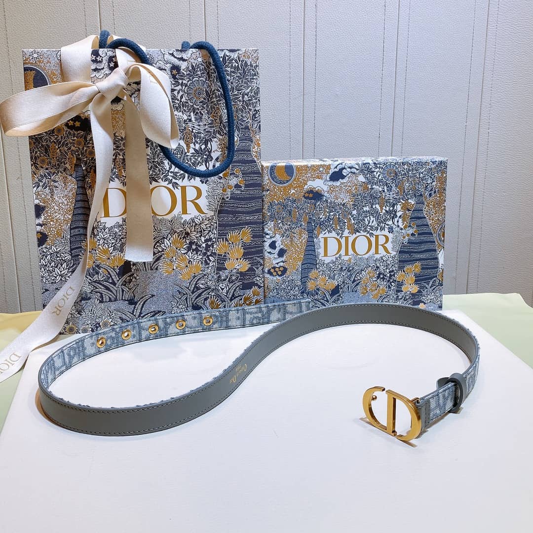 Best D10r Classic Belt 20mm For Lady