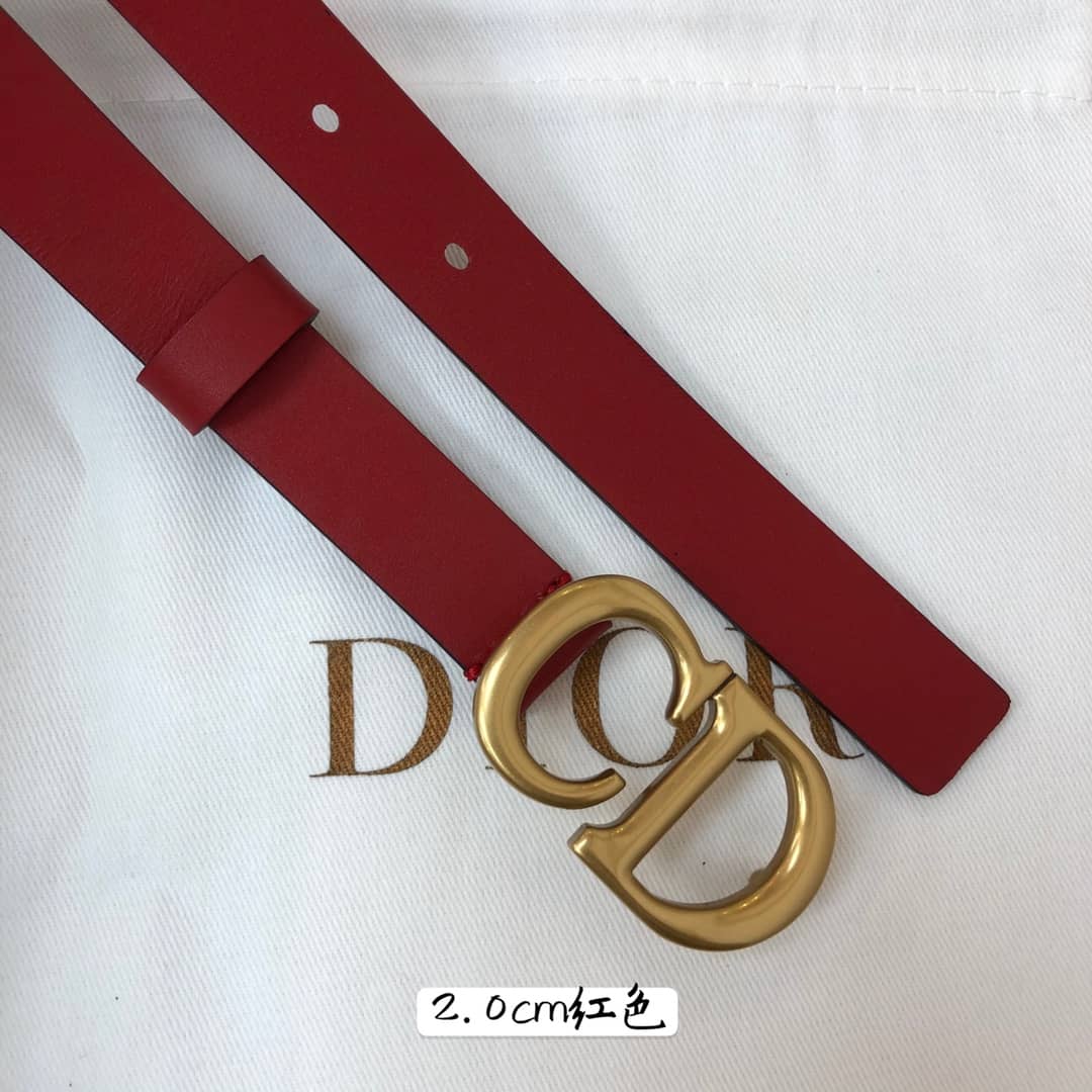 Knockoff D10r Logo Belt 20mm For Lady