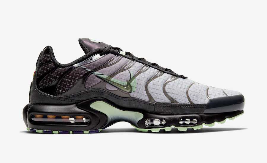 Air Max Plus  Future Swoosh  CT1619-001