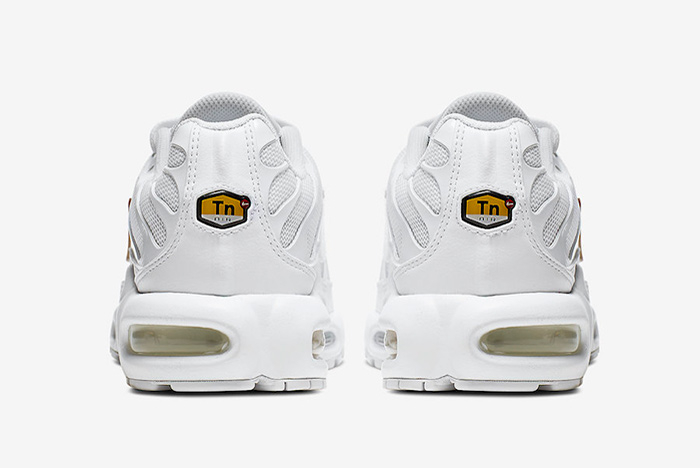 Air Max Plus  Removable Swoosh  CJ9696-100