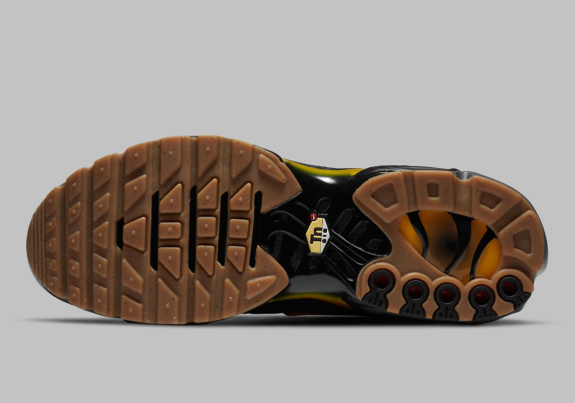 Air Max Plus  Fresh Perspective  DC7392-300