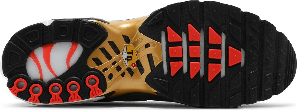 Air Max Plus SE  Iron Grey Metallic Gold  DM7570-002