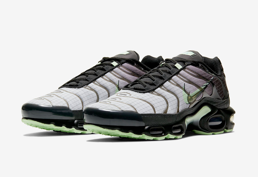 Air Max Plus  Future Swoosh  CT1619-001