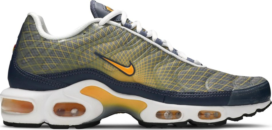 Air Max Plus  Wave Grid  BV1983-500