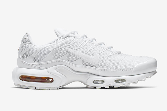 Air Max Plus  Removable Swoosh  CJ9696-100