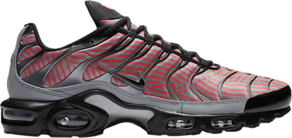 Air Max Plus  Euro Tour  CW7575-100