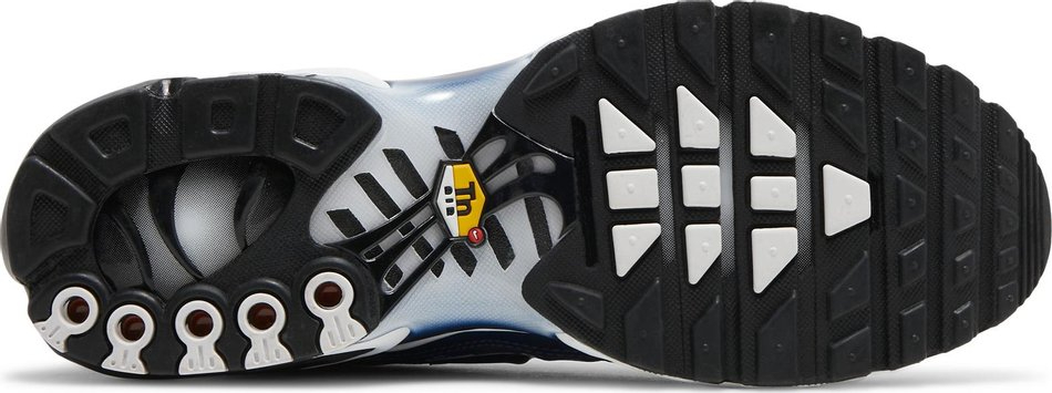 Air Max Plus  Shattered Ice-Midnight Navy  DO6384-400