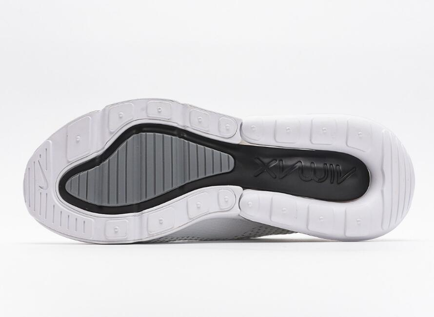 Air Max 270  Pure Platinum  AQ9164-101