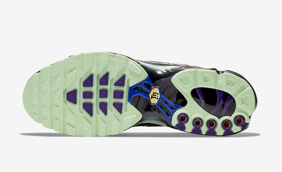 Air Max Plus  Future Swoosh  CT1619-001