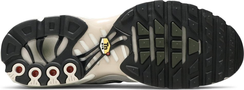 Air Max Plus  Brushstroke  CZ7553-002