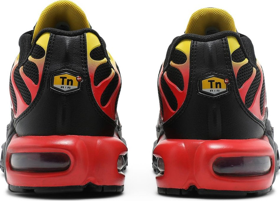 Air Max Plus  Gradient  CZ9270-001