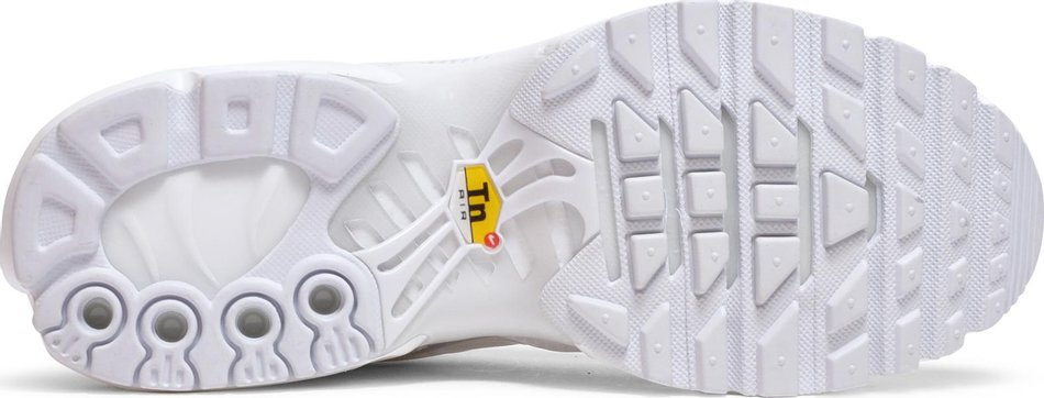 Air Max Plus  Triple White  DM2362-100