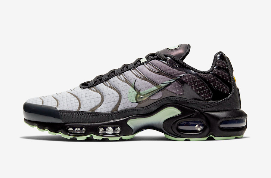 Air Max Plus  Future Swoosh  CT1619-001