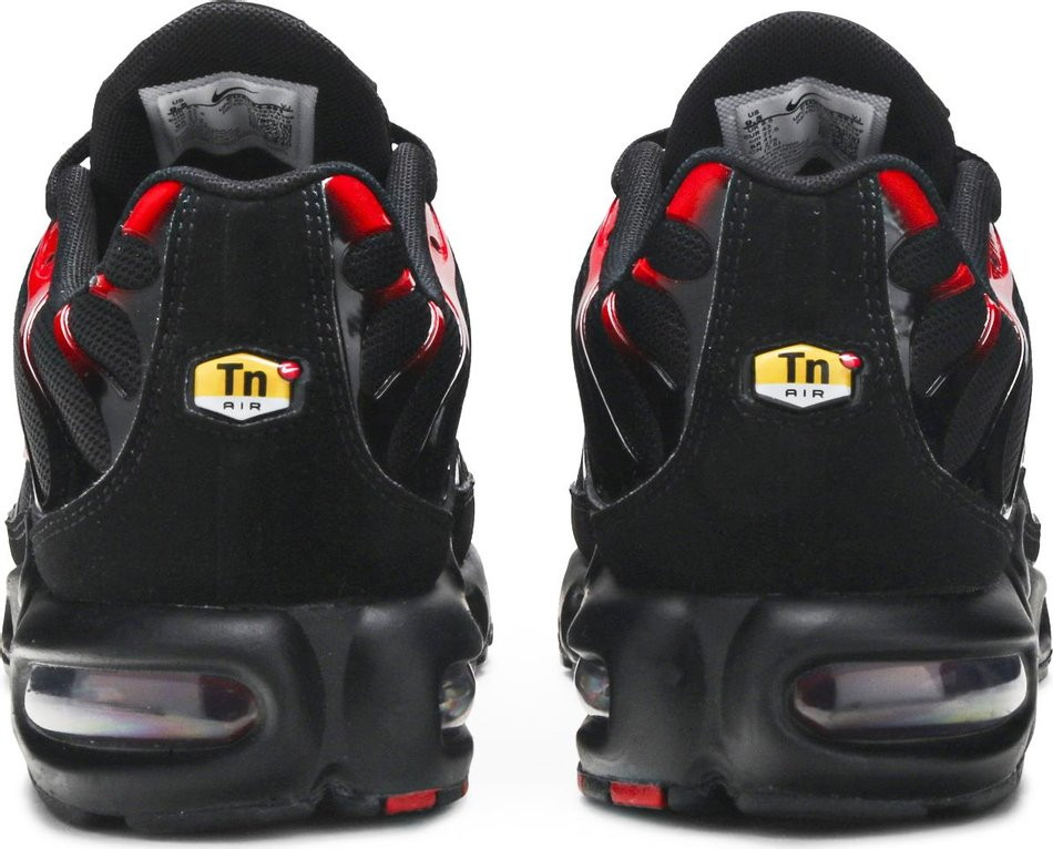 Air Max Plus  Bred  CU4864-001