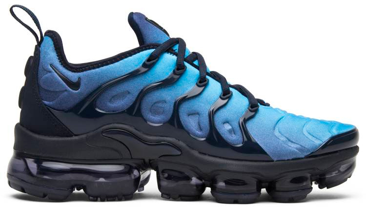 Air VaporMax Plus  Photo Blue  924453-401