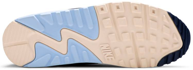 Air Max 90 Essential  Royal Tint  AJ1285-008