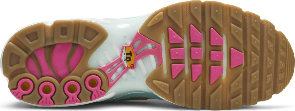 Wmns Air Max Plus  Teal Twist  CJ9925-300