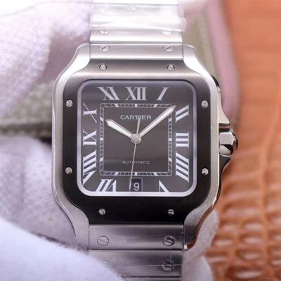 Ca*t1er Watch Rep Santos de WSSA0037