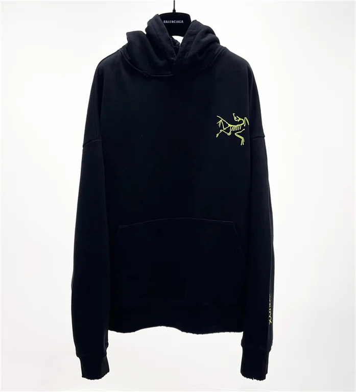 Arcteryx  Down Hoodie