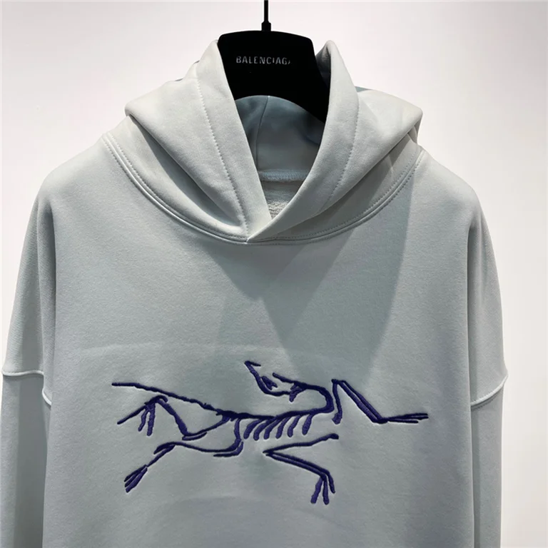 Arcteryx  Down Hoodie