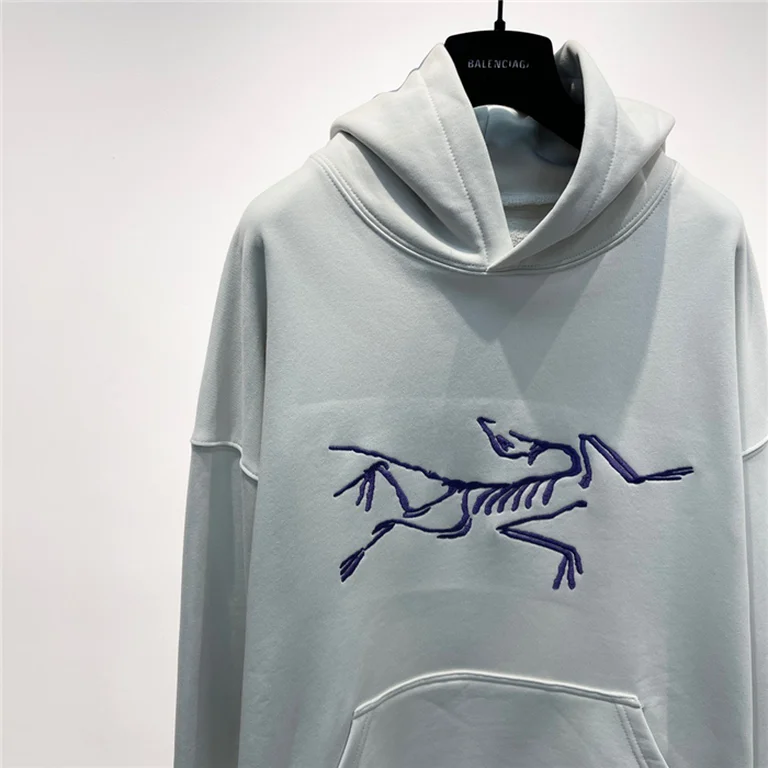 Arcteryx  Down Hoodie