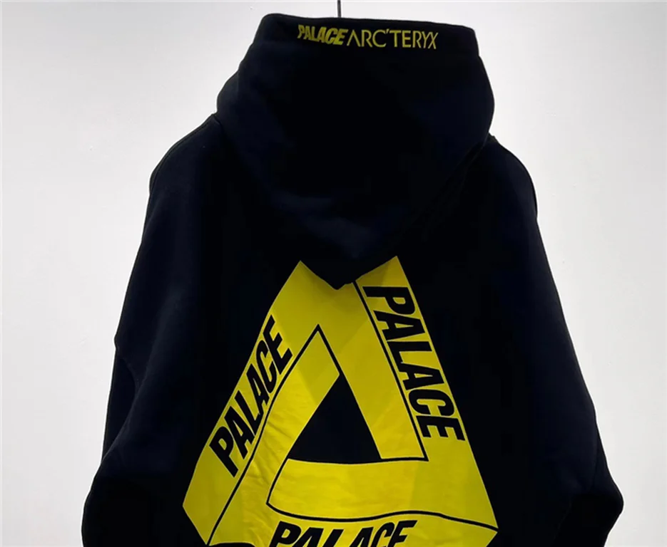 Arcteryx  Down Hoodie