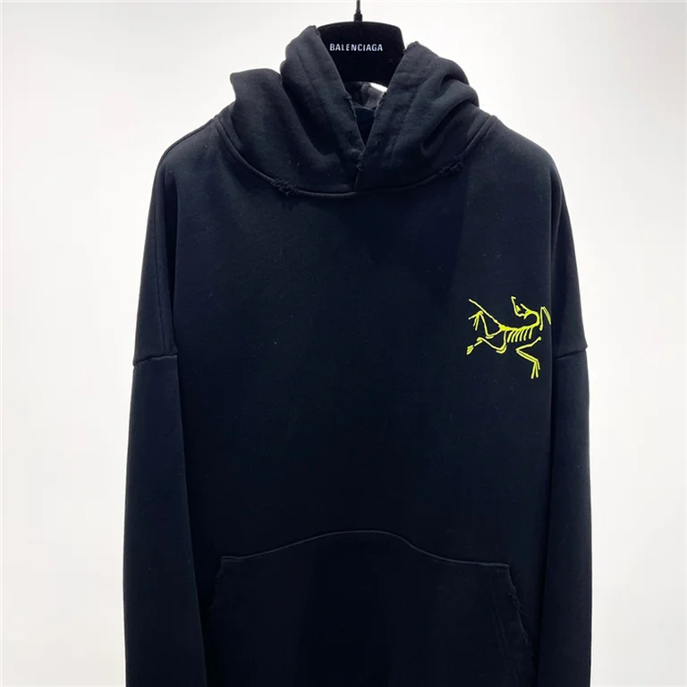 Arcteryx  Down Hoodie