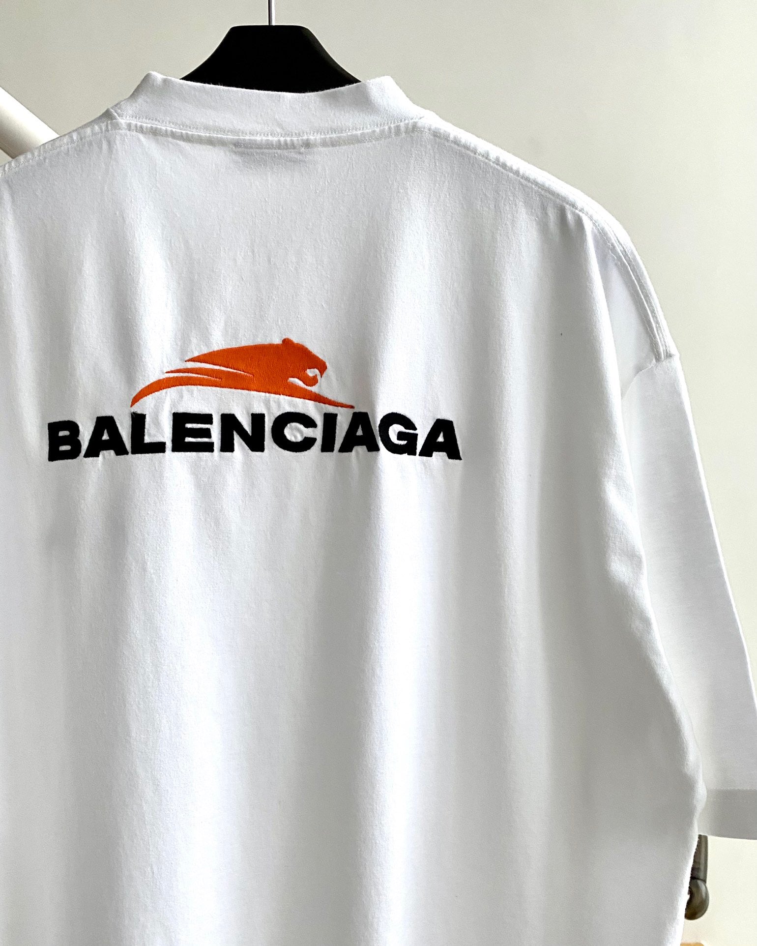 Ba1en*iaga T-shirt