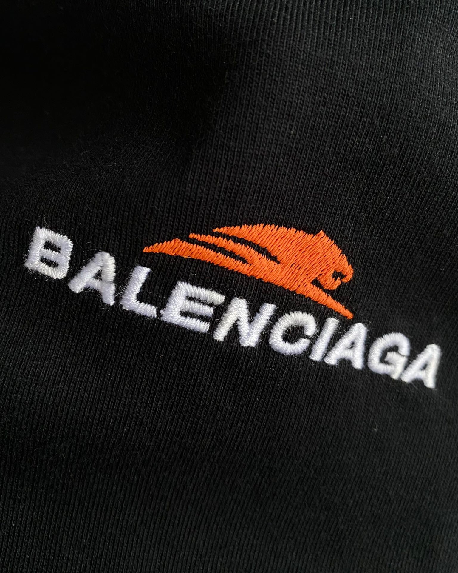 Ba1en*iaga T-shirt