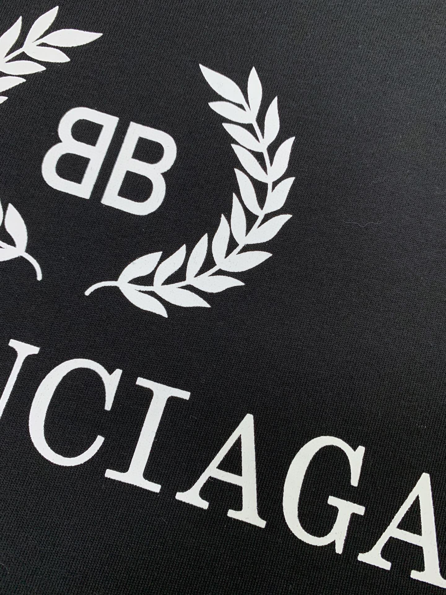 Ba1en*iaga T-shirt