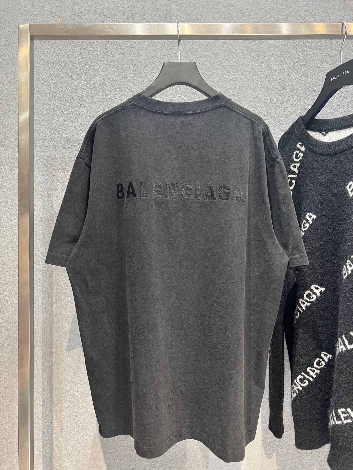 Ba1en*iaga T-shirt
