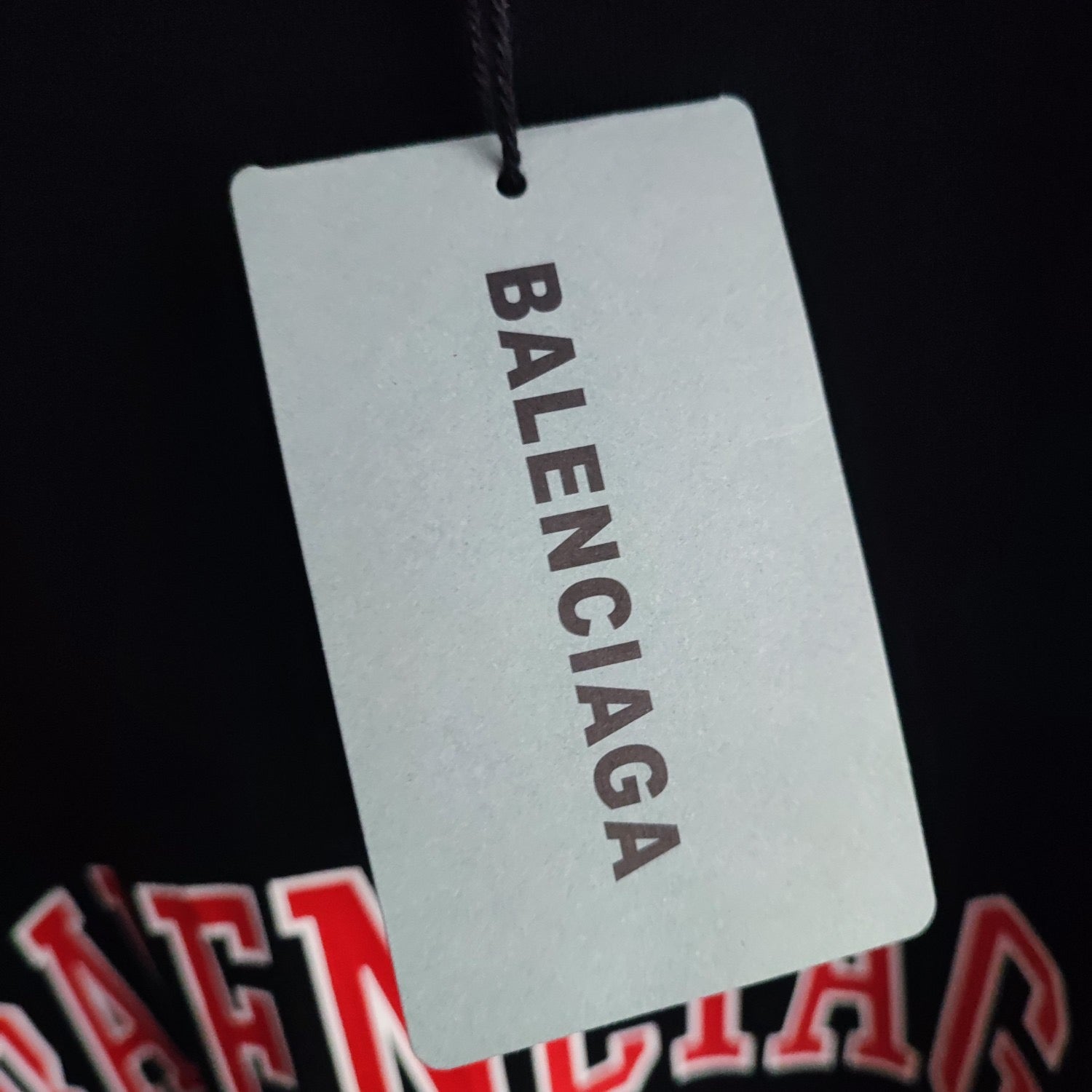 Ba1en*iaga T-shirt