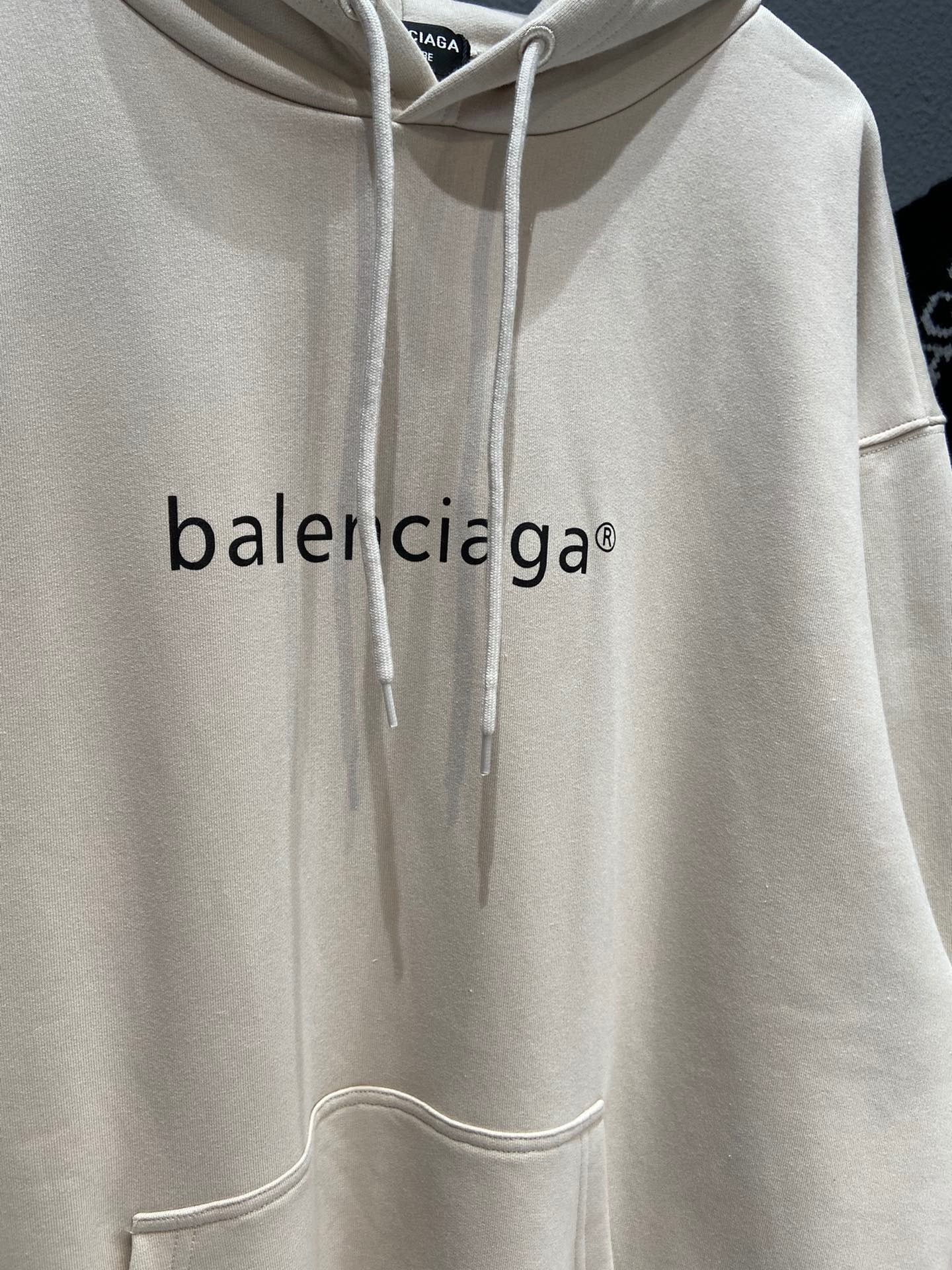 Ba1en*iaga Hoodie