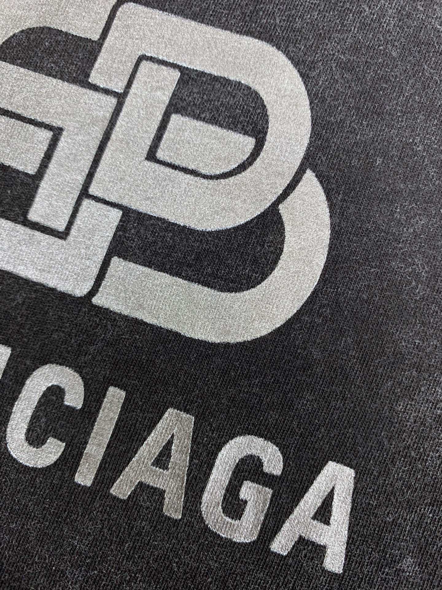 Ba1en*iaga T-shirt