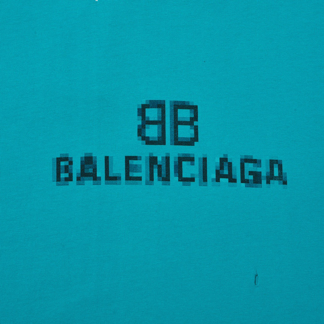 Ba1en*iaga T-shirt