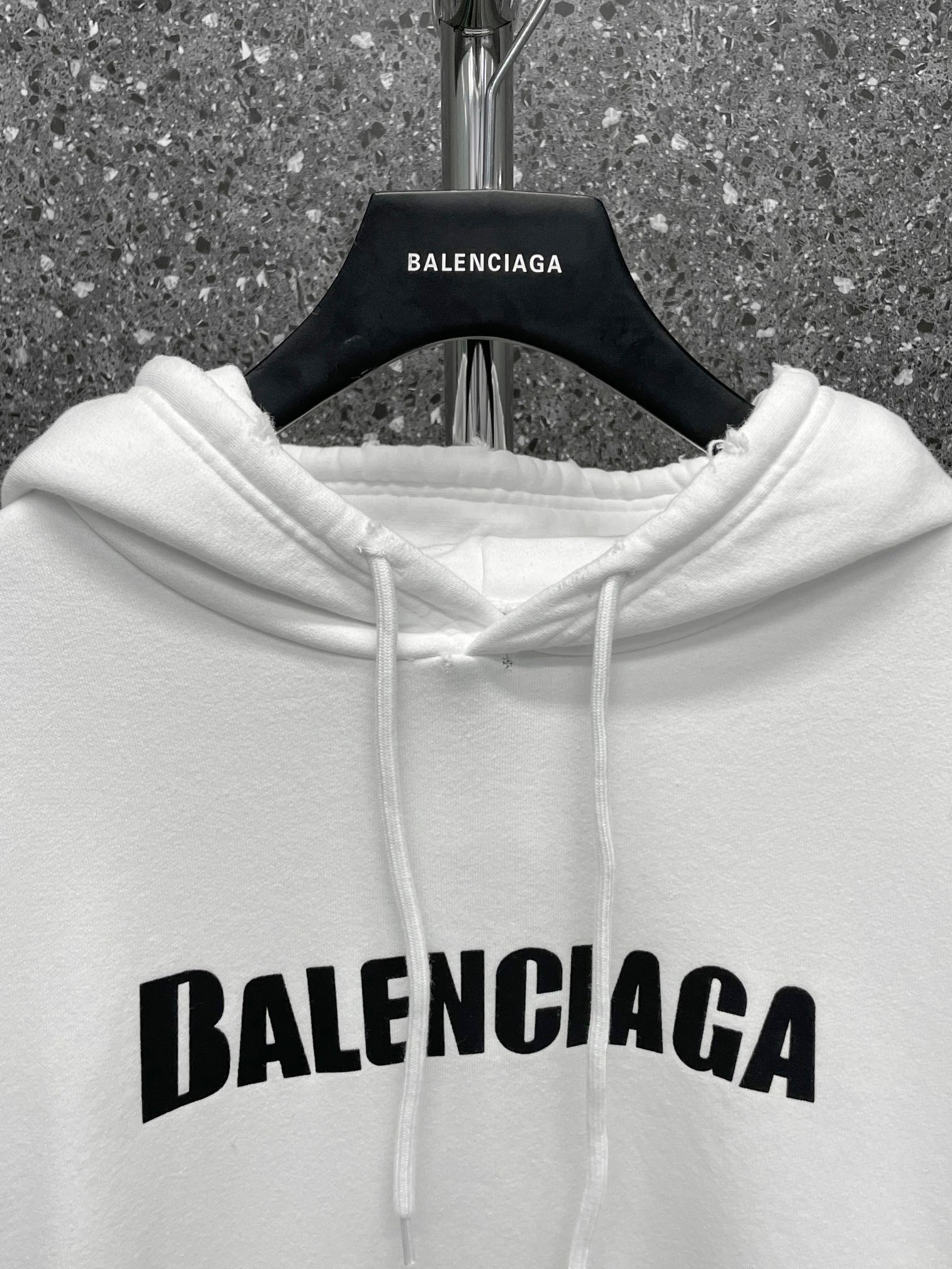 Ba1en*iaga Hoodie
