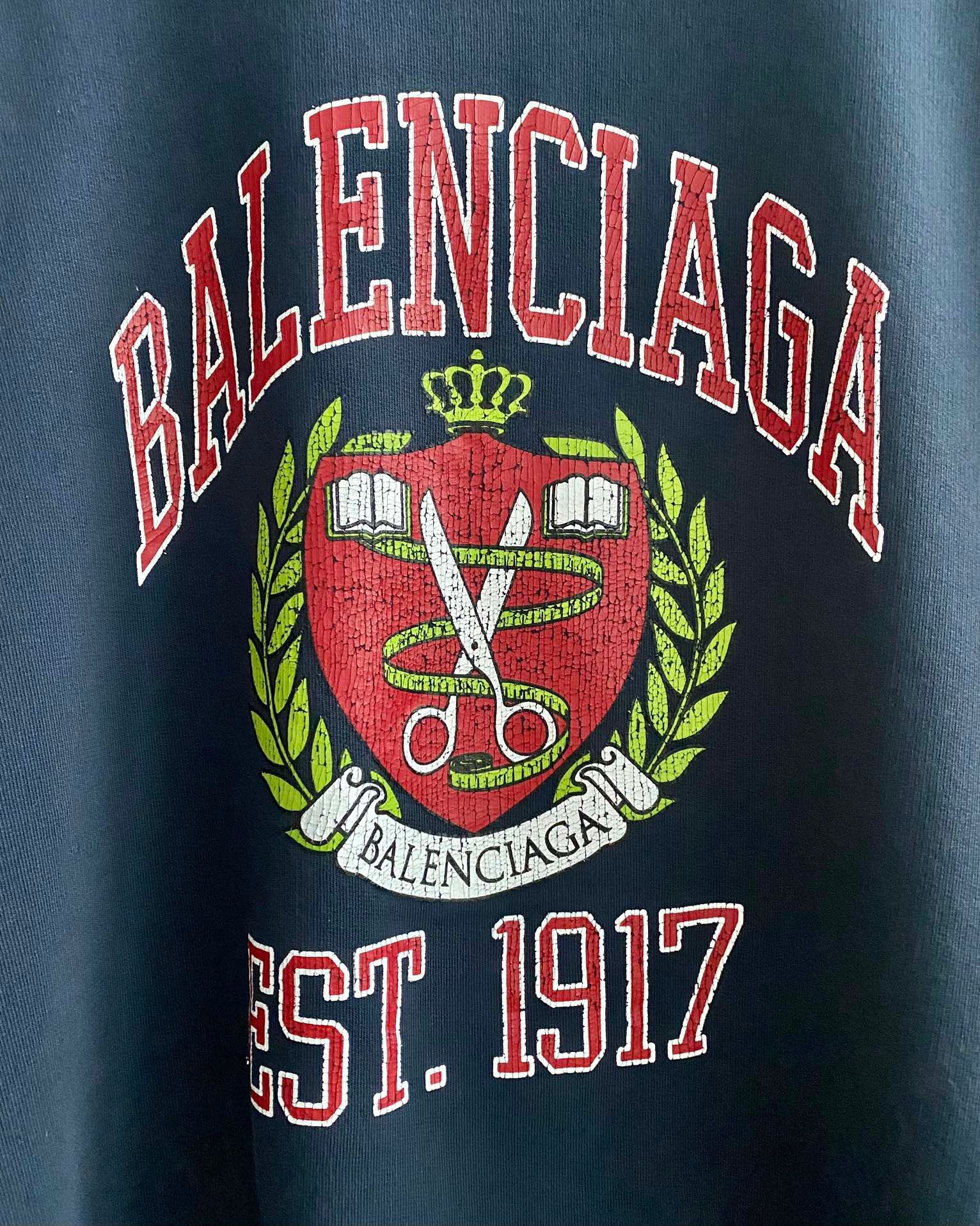 Ba1en*iaga Sweatshirt