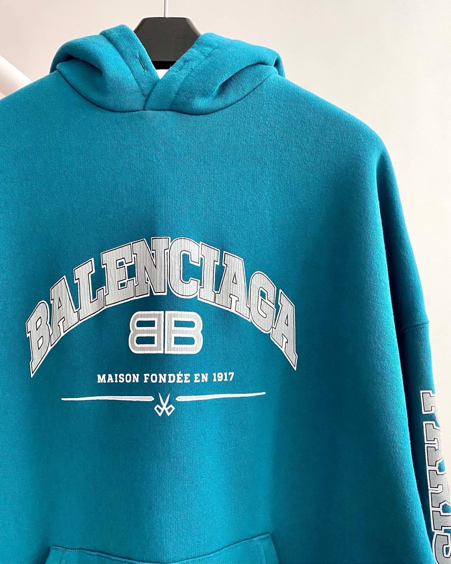 Ba1en*iaga Hoodie