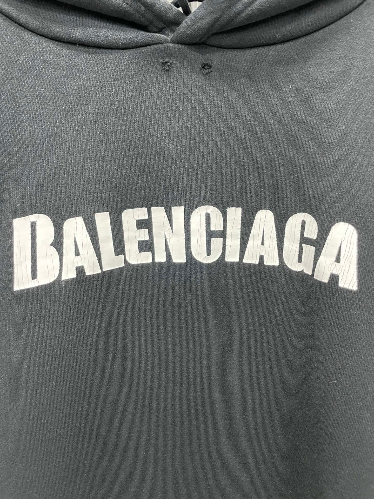 Ba1en*iaga Hoodie