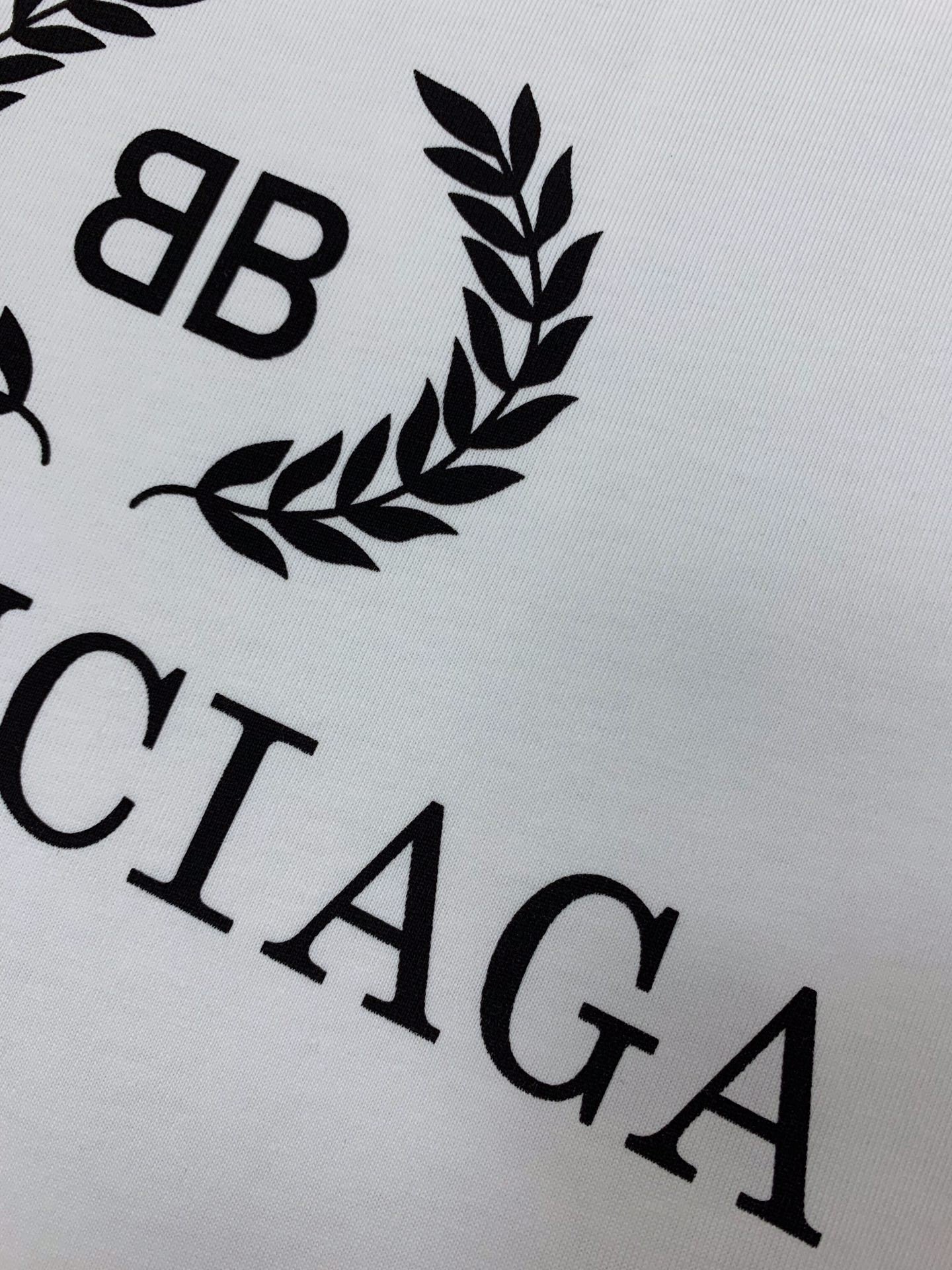 Ba1en*iaga T-shirt