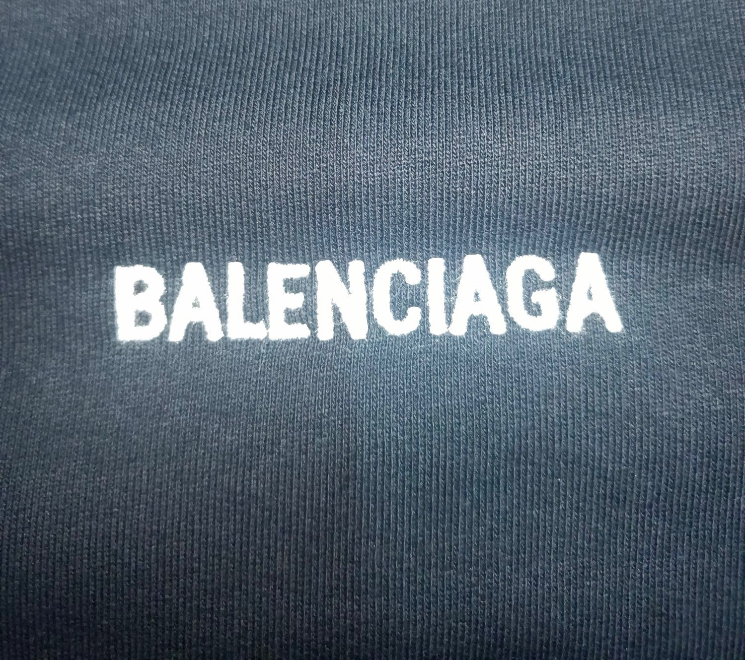 Ba1en*iaga Sweatshirt
