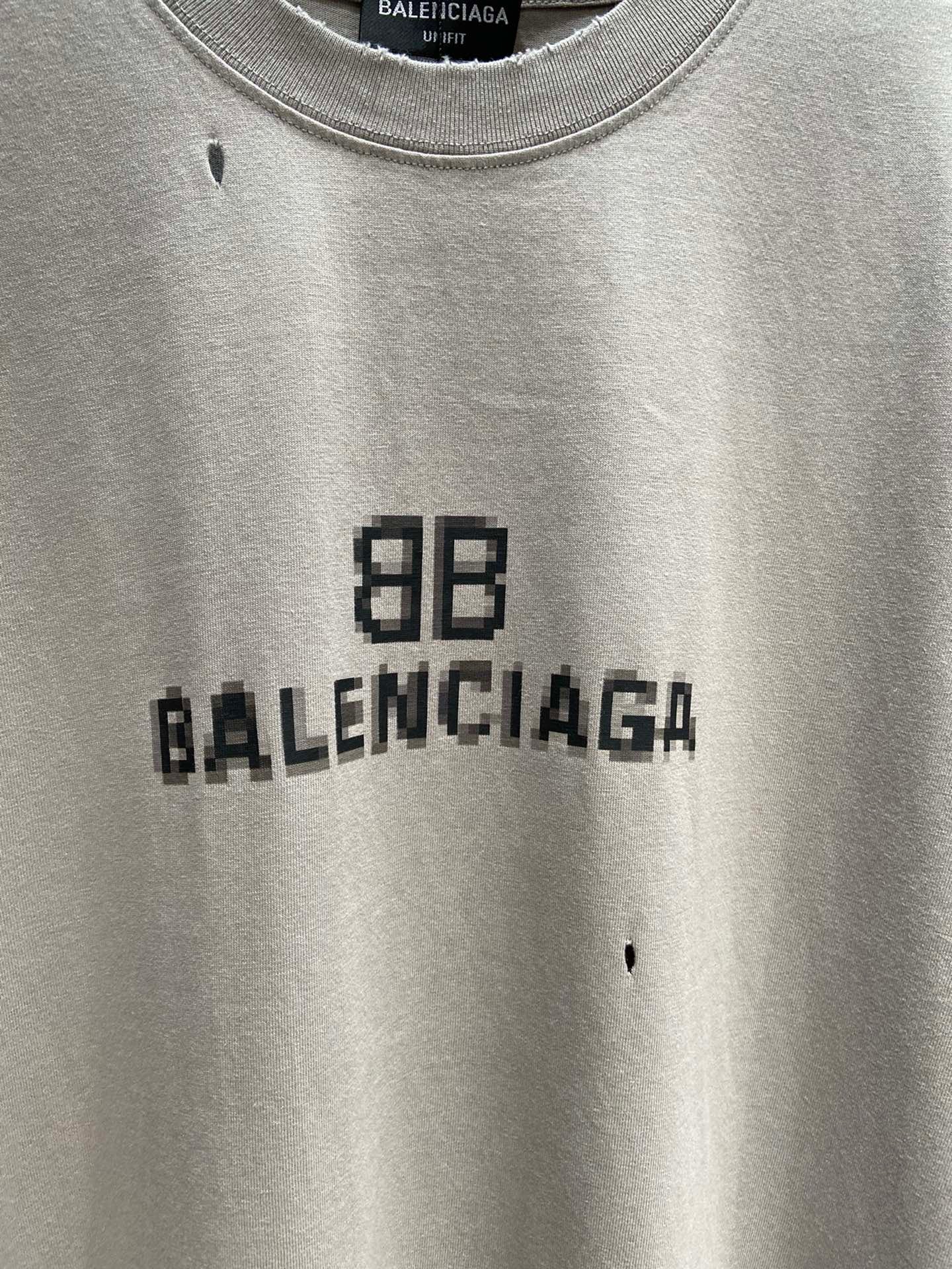 Ba1en*iaga T-shirt