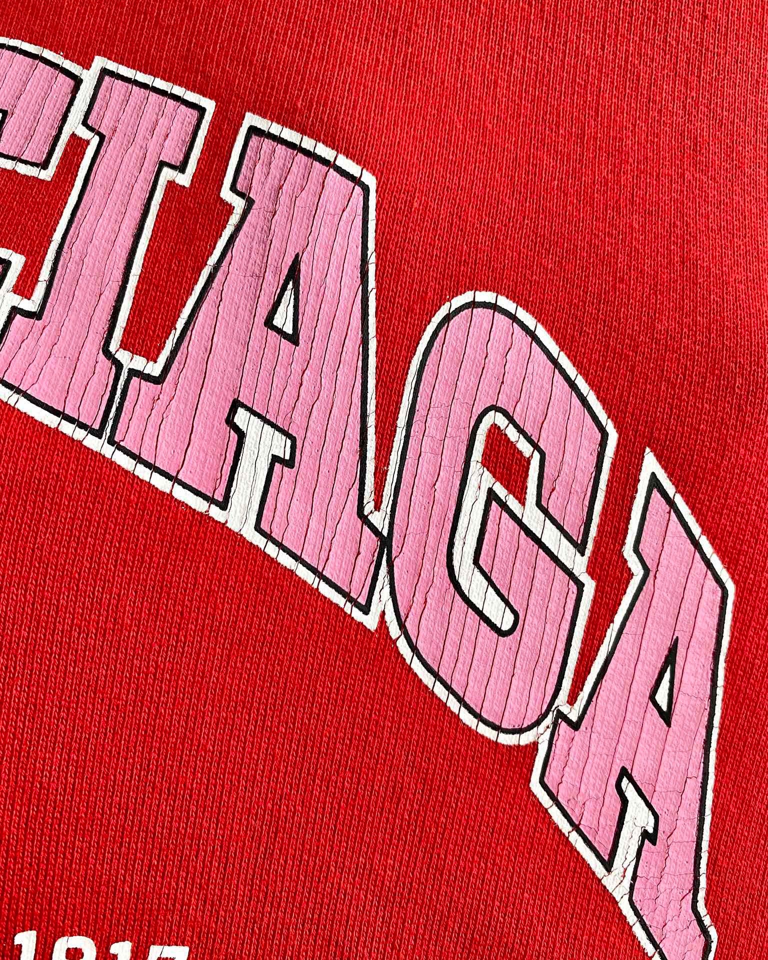 Ba1en*iaga Hoodie