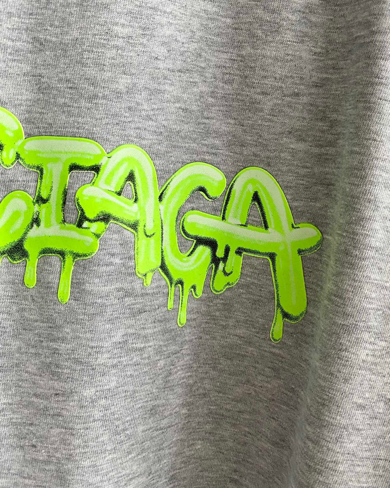Ba1en*iaga T-shirt