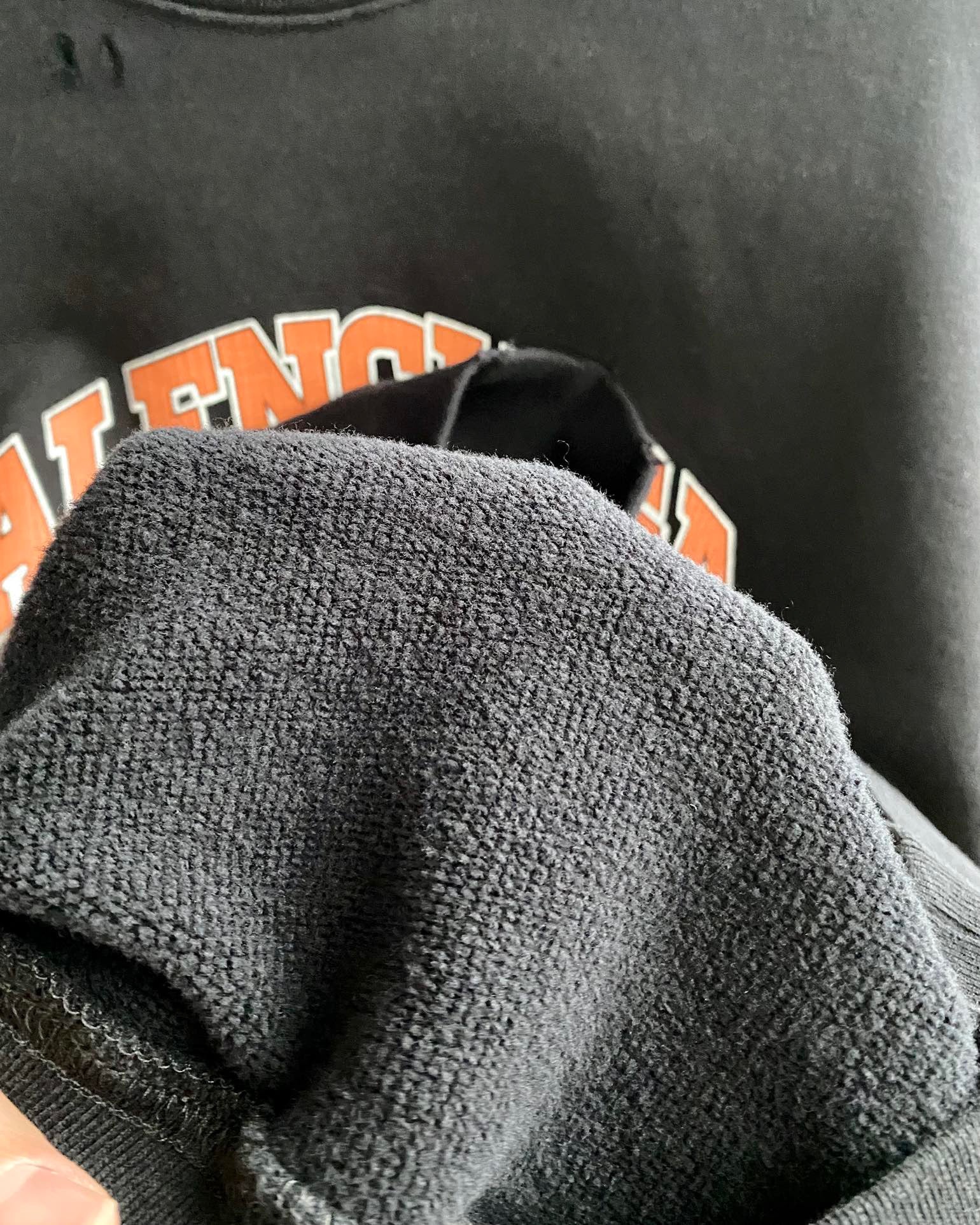 Ba1en*iaga Sweatshirt