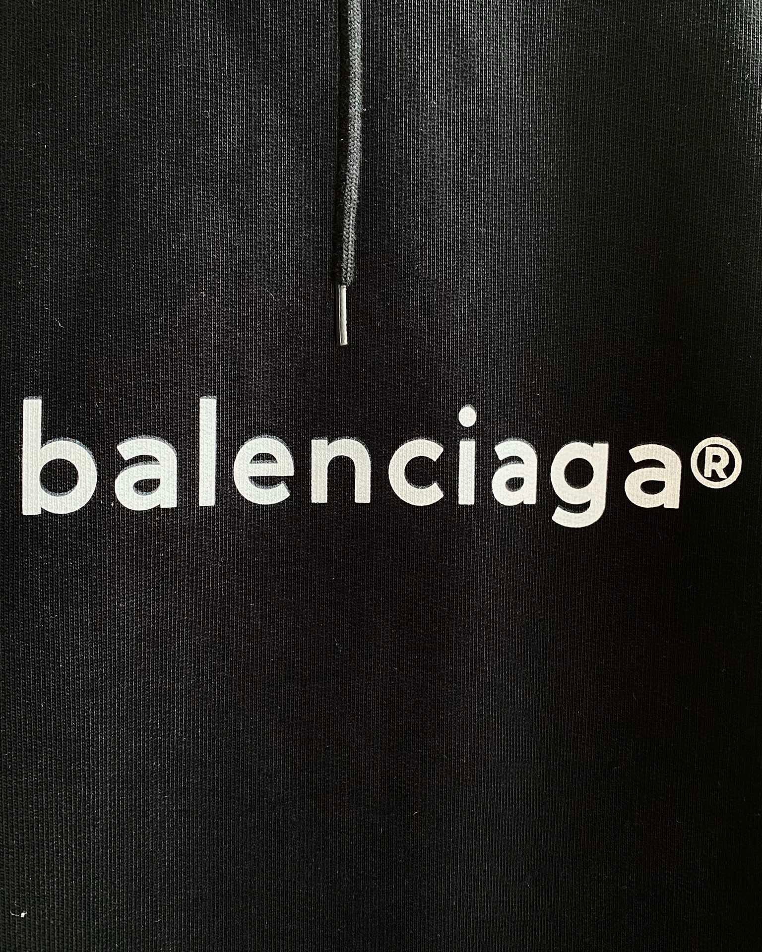 Ba1en*iaga Hoodie