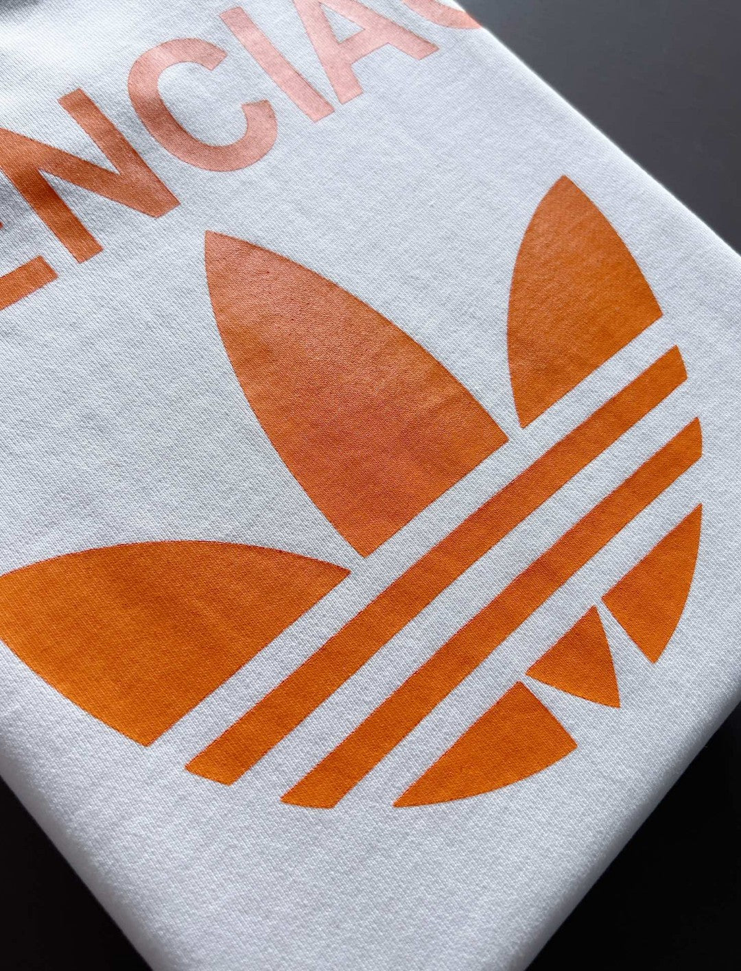 Ba1en*iaga Sweatshirt