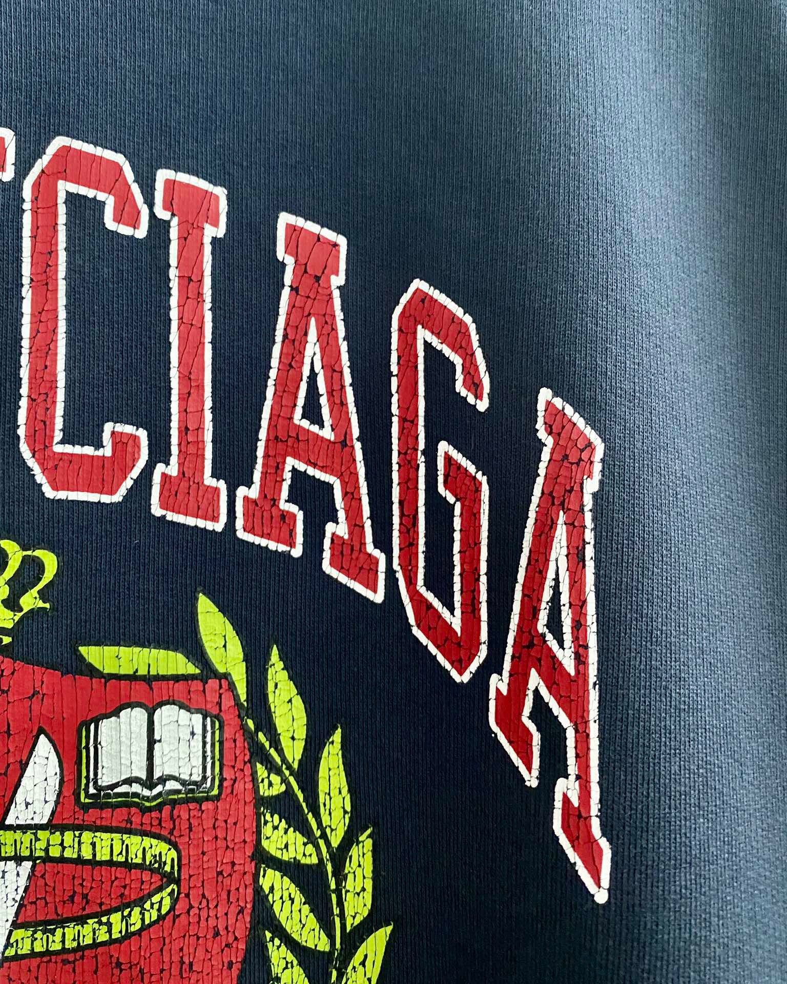 Ba1en*iaga Sweatshirt