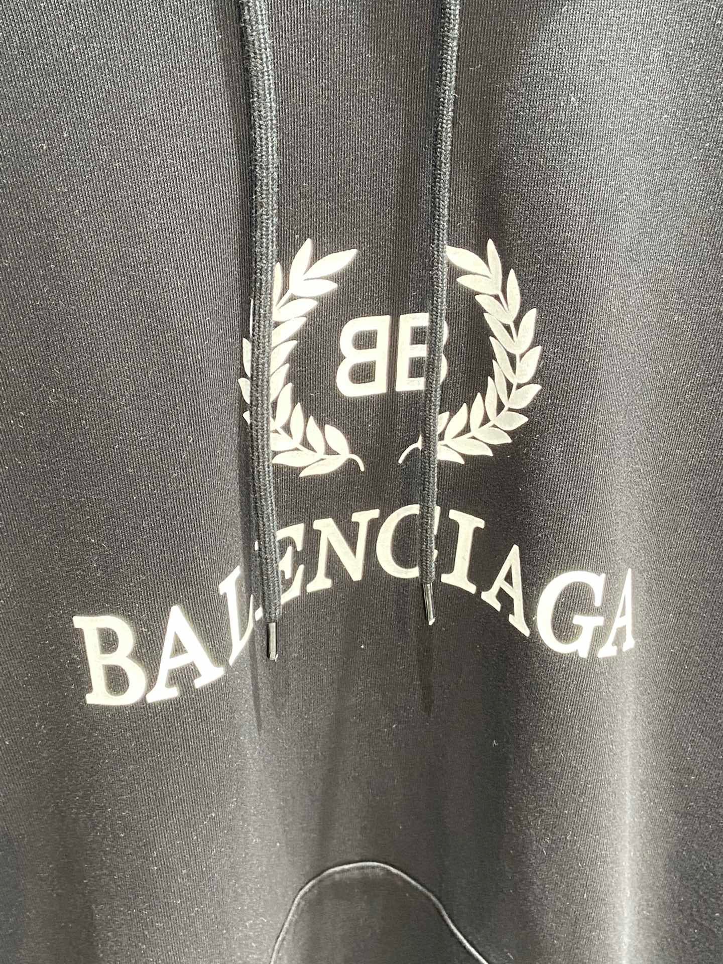 Ba1en*iaga Hoodie